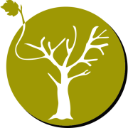 Logo de fundacionmediar.com.ar